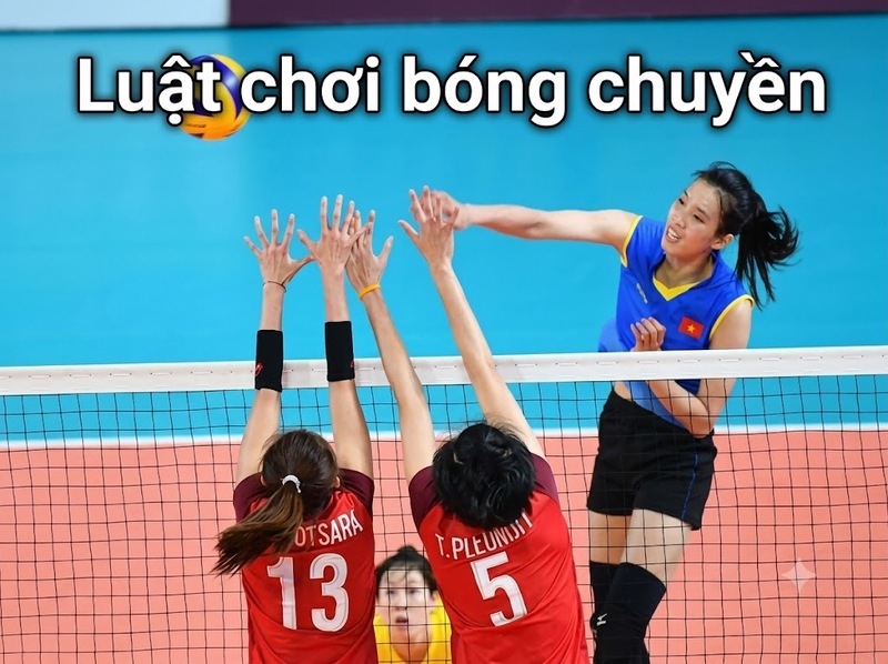 Luật chơi bóng chuyền: Hướng dẫn chi tiết và dễ hiểu nhất
